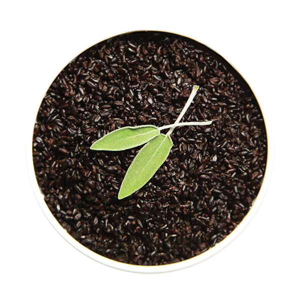 Bowl of Purple Rice Rice