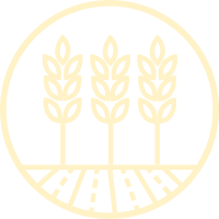 Icon: wheat