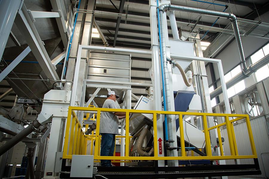 person milling rice in the production facility