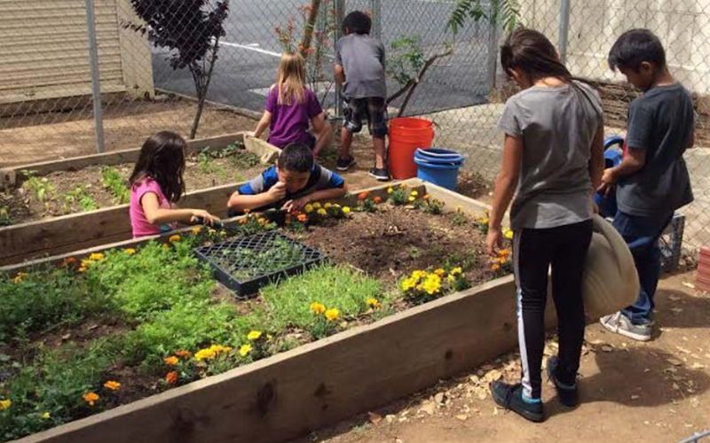 Ralston Family Farms participates in the Arkansas Farm to School program.