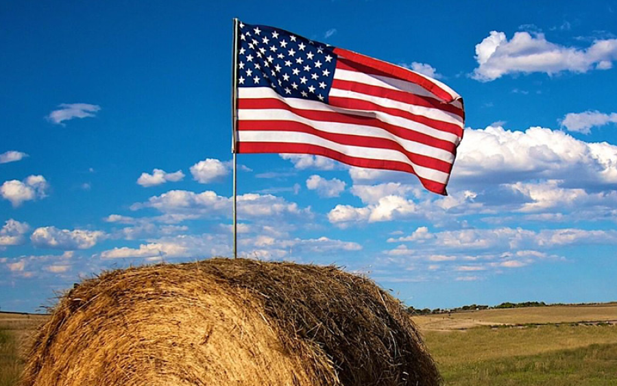 flag in barrel of straw in a field