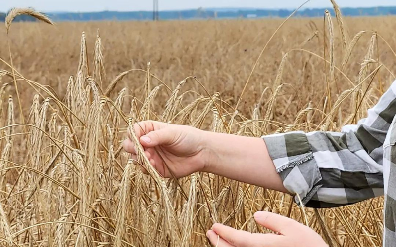  The Power of Cover Crops
