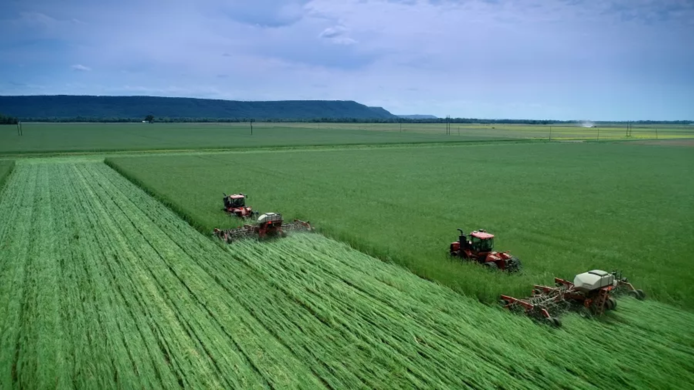 benefits of no-till planting
