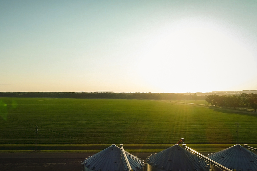 farm field